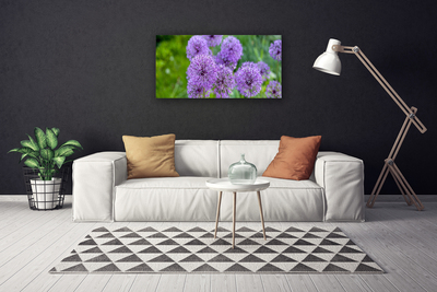 Fototryck canvas Lila blommor äng