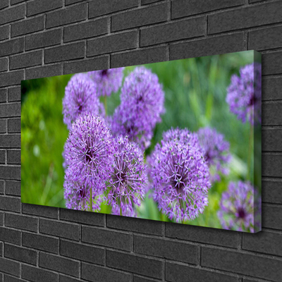 Fototryck canvas Lila blommor äng