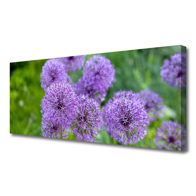 Fototryck canvas Lila blommor äng