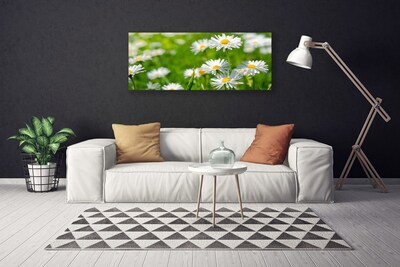 Fototryck canvas Daisy blomma växt