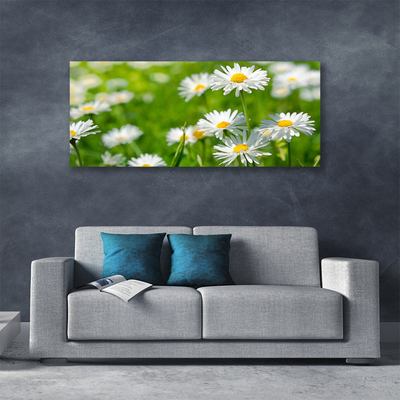 Fototryck canvas Daisy blomma växt