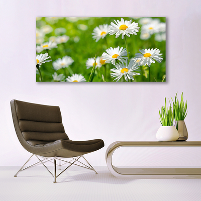 Fototryck canvas Daisy blomma växt