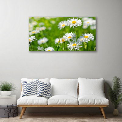 Fototryck canvas Daisy blomma växt