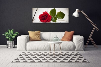 Canvas bild Rose Flower Plant Nature