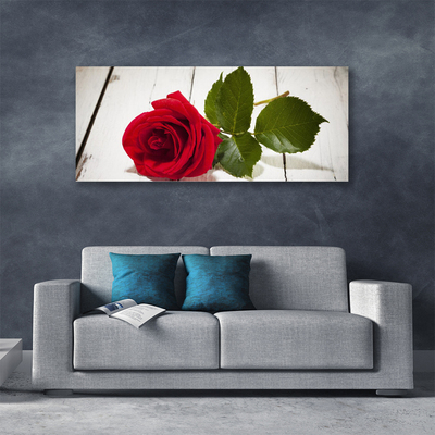 Canvas bild Rose Flower Plant Nature