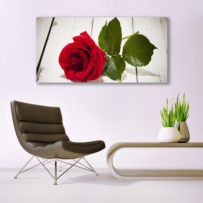 Canvas bild Rose Flower Plant Nature