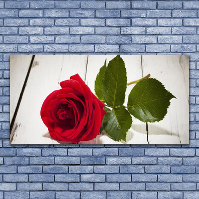 Canvas bild Rose Flower Plant Nature