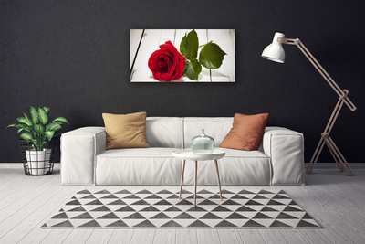 Canvas bild Rose Flower Plant Nature