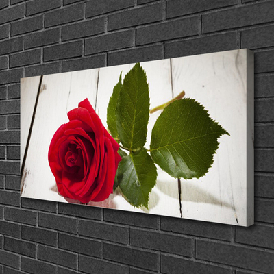 Canvas bild Rose Flower Plant Nature