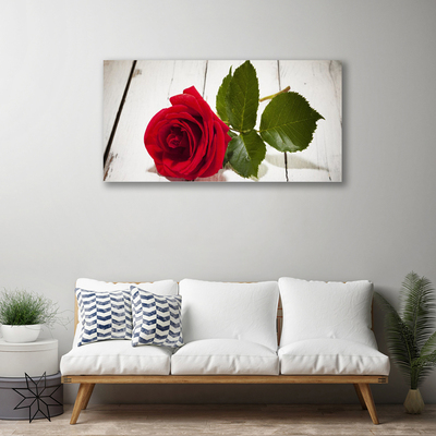 Canvas bild Rose Flower Plant Nature