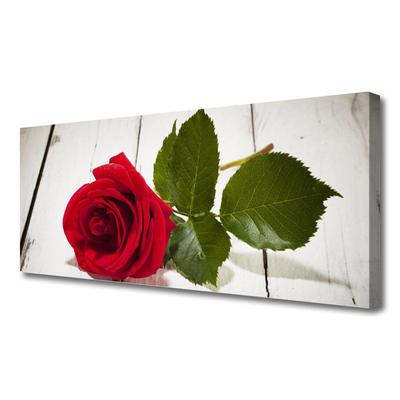 Canvas bild Rose Flower Plant Nature