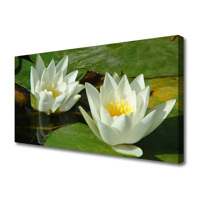 Fototryck canvas Blommor Växter Natur