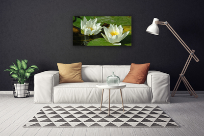 Fototryck canvas Blommor Växter Natur