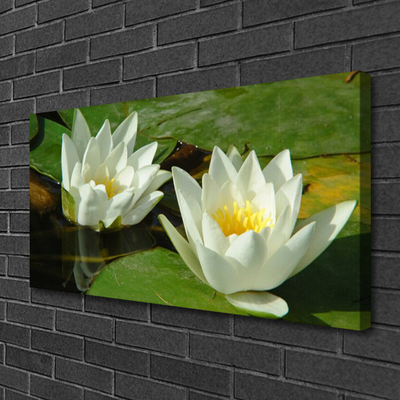 Fototryck canvas Blommor Växter Natur