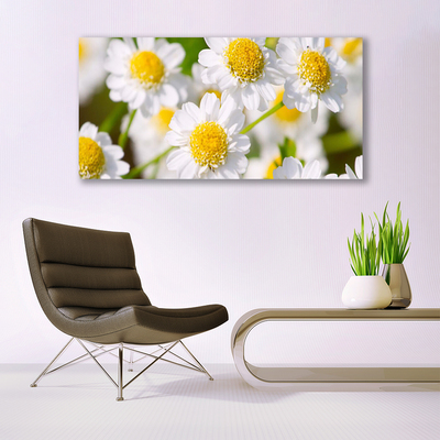 Canvas bild Blommor Daisy Nature