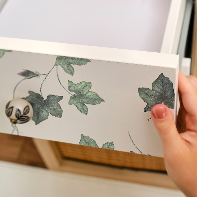 Självhäftande möbelfolie Murgrönsblad