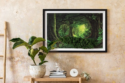 Bild med mossa Tropisk djungel