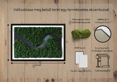 Mosstavla En flod i skogen