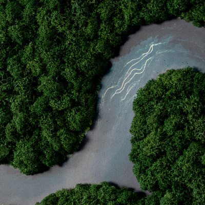 Mosstavla En flod i skogen