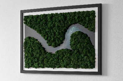 Mosstavla En flod i skogen