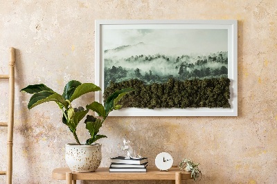 Mossa väggbilder Skog i dimman