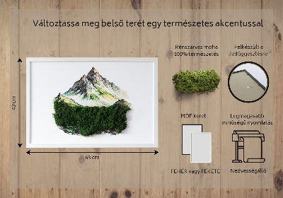 Bild med mossa Toppen av berget ovanför skogen