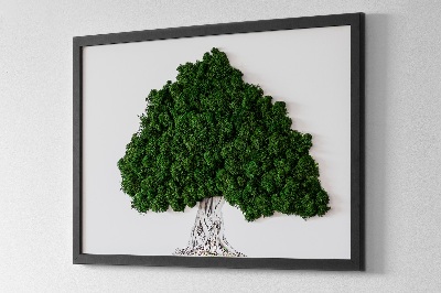 Mossbild Träd med rötter på en vit bakgrund