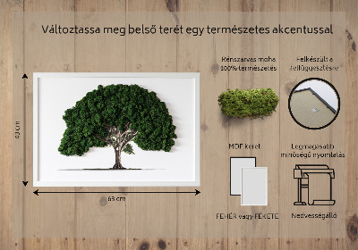 Mosstavla Träd på en vit bakgrund