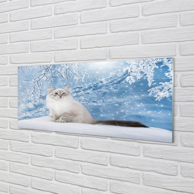 Fototryck på glas Katt på vintern