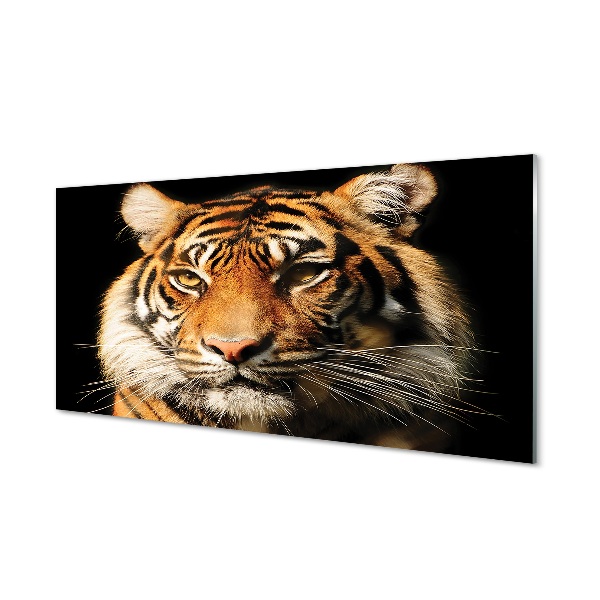 Glasbild Tiger