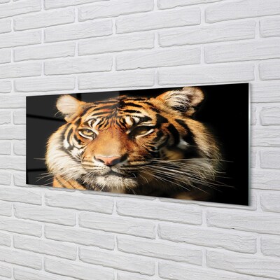 Glasbild Tiger