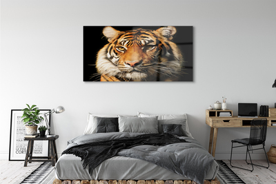 Glasbild Tiger