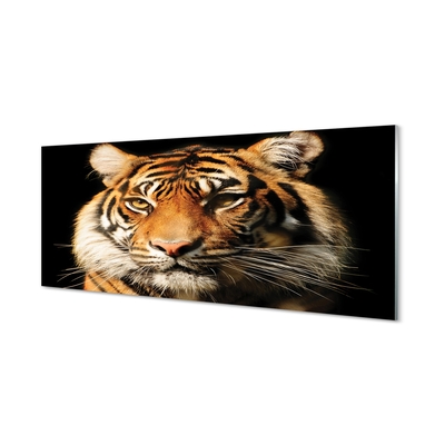 Glasbild Tiger