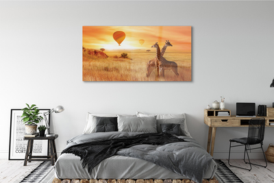 Glasbild Giraff himmel ballonger