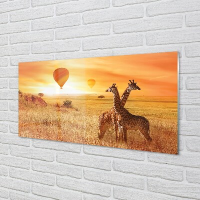 Glasbild Giraff himmel ballonger