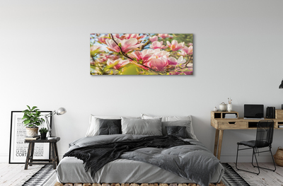 Glasbild Rosa magnolia