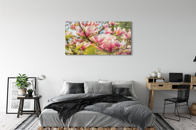 Glasbild Rosa magnolia