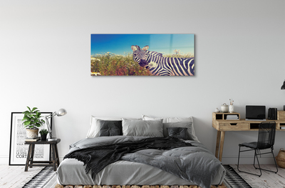 Glas bild Zebra blommor