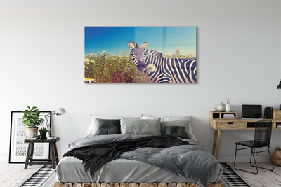 Glas bild Zebra blommor