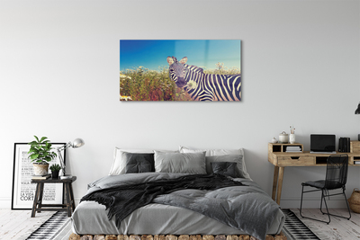 Glas bild Zebra blommor