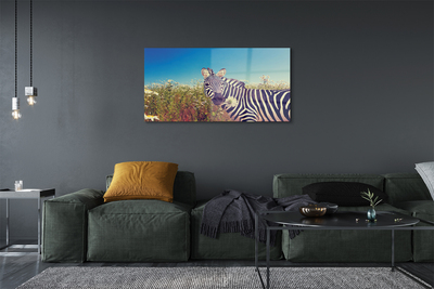 Glas bild Zebra blommor