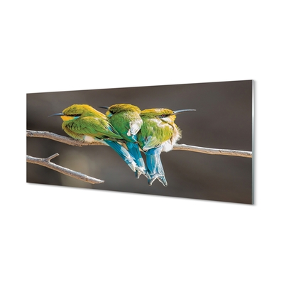 Bild på glas Fåglar på en gren