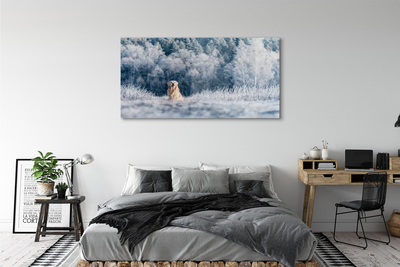 Glasbild Vinter bergshund