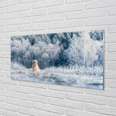 Glasbild Vinter bergshund