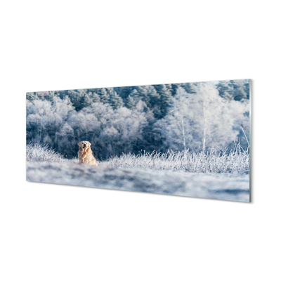 Glasbild Vinter bergshund