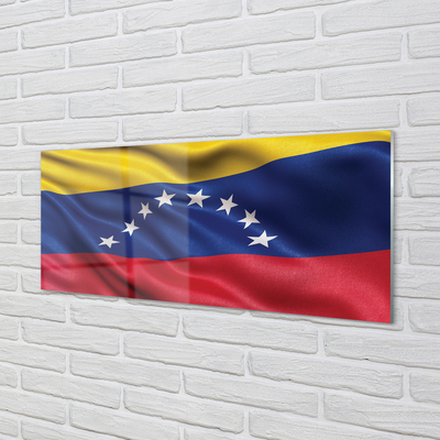 Glasbild Venezuelas flagga