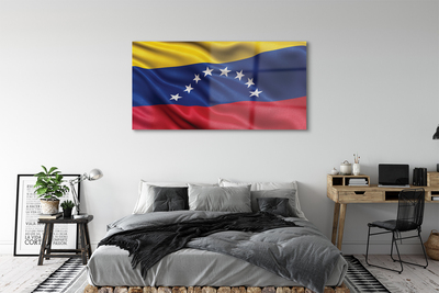 Glasbild Venezuelas flagga