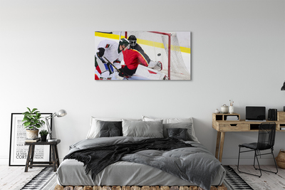 Glasbild Hockeymål