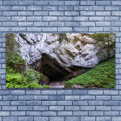 Glastavla foto Berggrottans natur