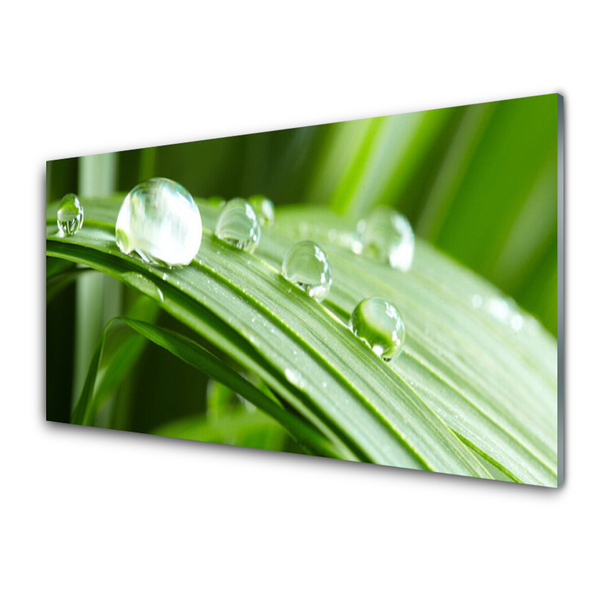 Glas bild Leaf Dew Drops